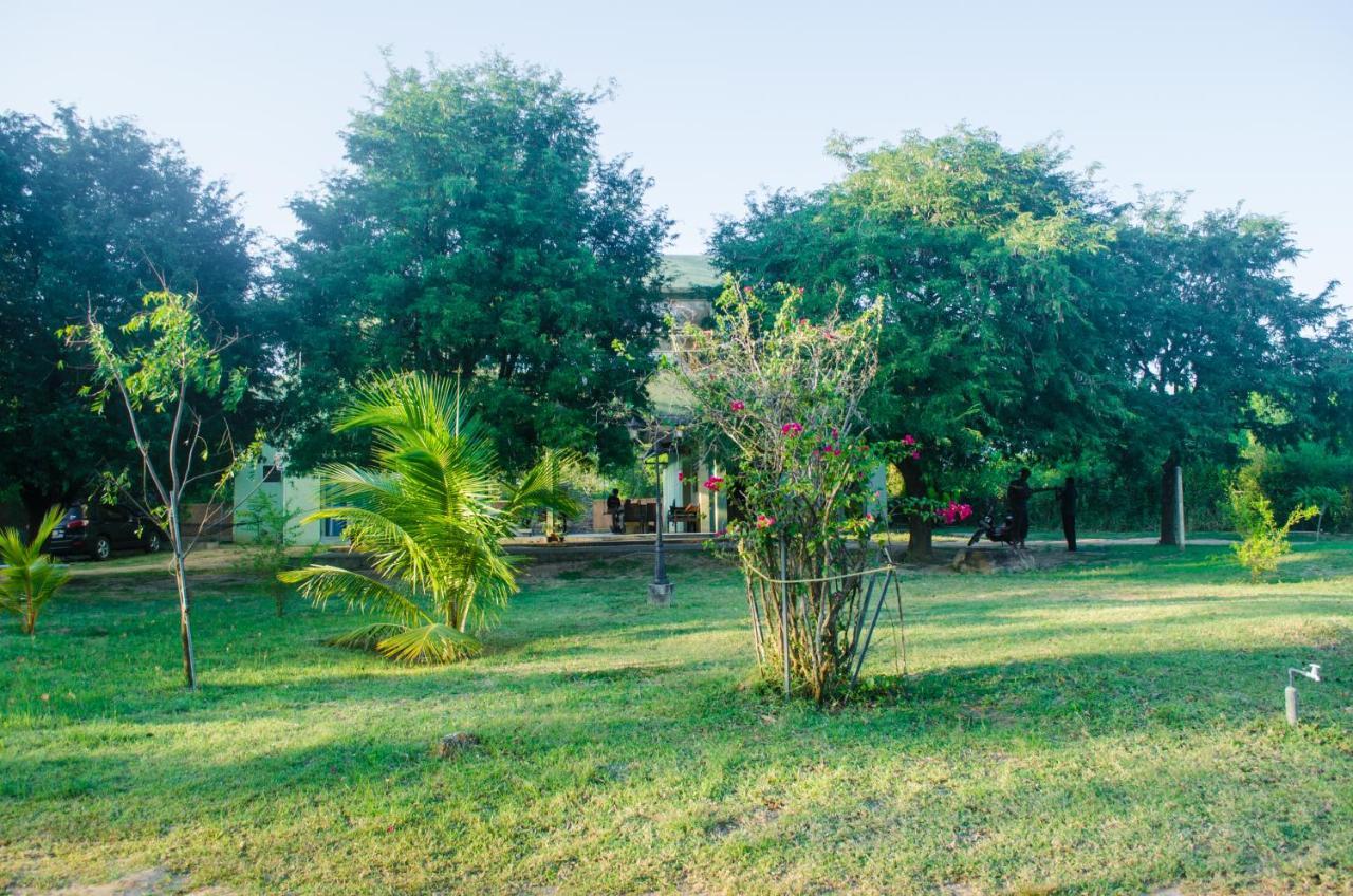 Forestville Yala Exterior photo
