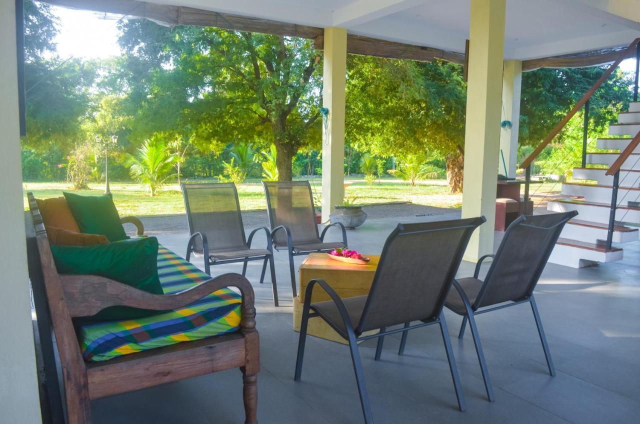Forestville Yala Exterior photo