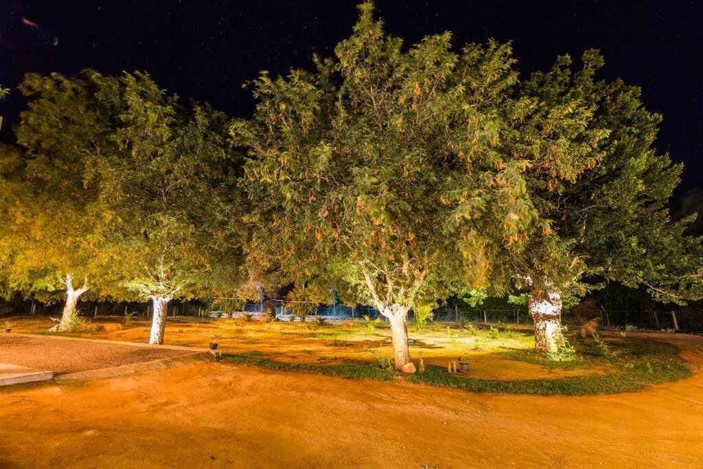 Forestville Yala Exterior photo