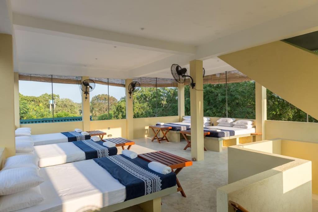 Forestville Yala Exterior photo