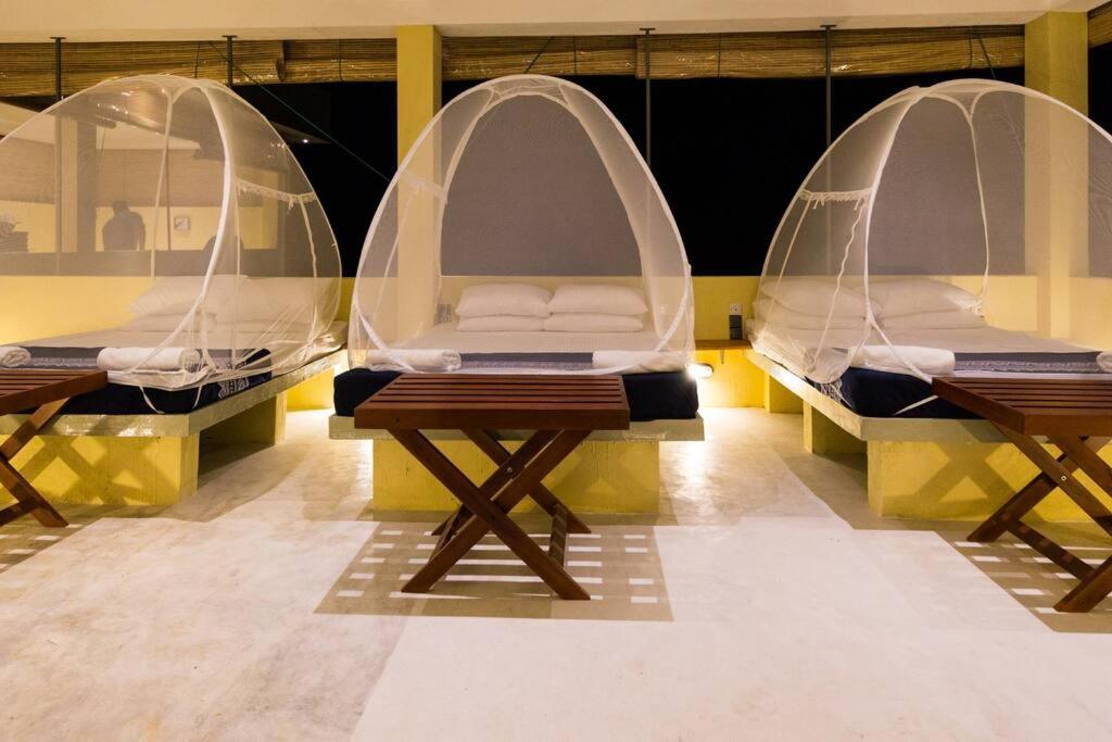 Forestville Yala Exterior photo