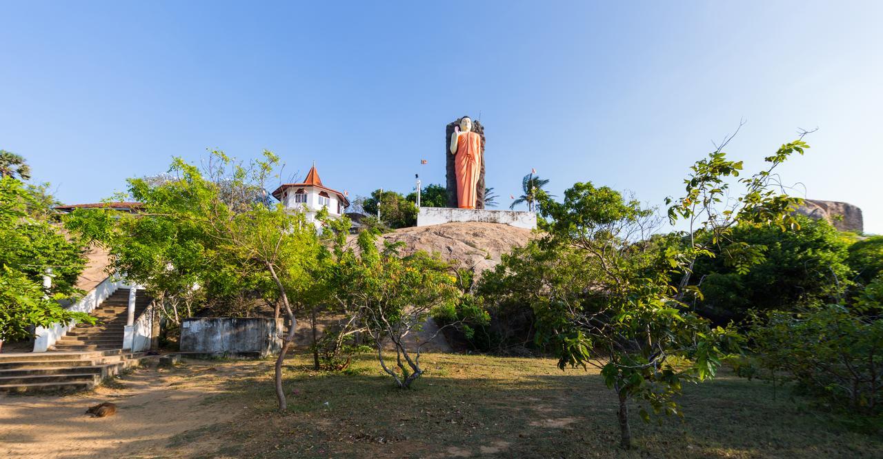 Forestville Yala Exterior photo