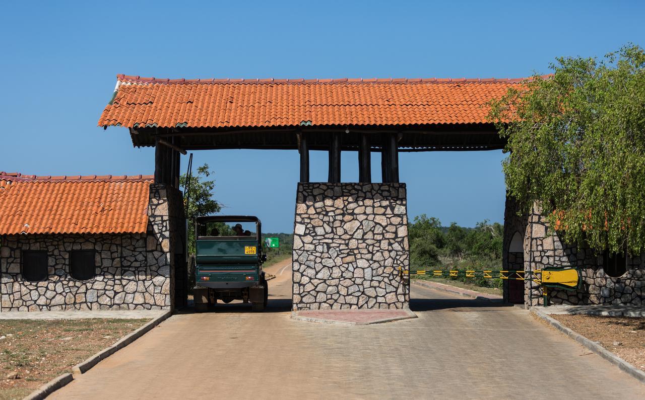 Forestville Yala Exterior photo