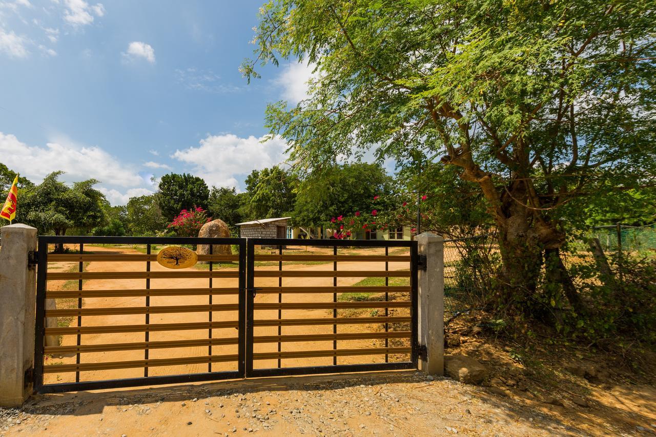 Forestville Yala Exterior photo